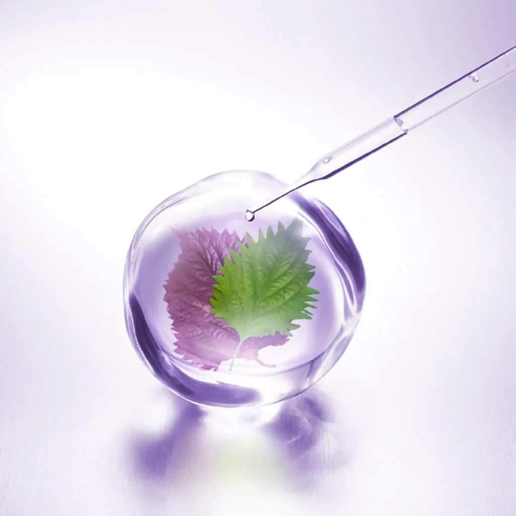 science-decorte-herbal-concentrate-min